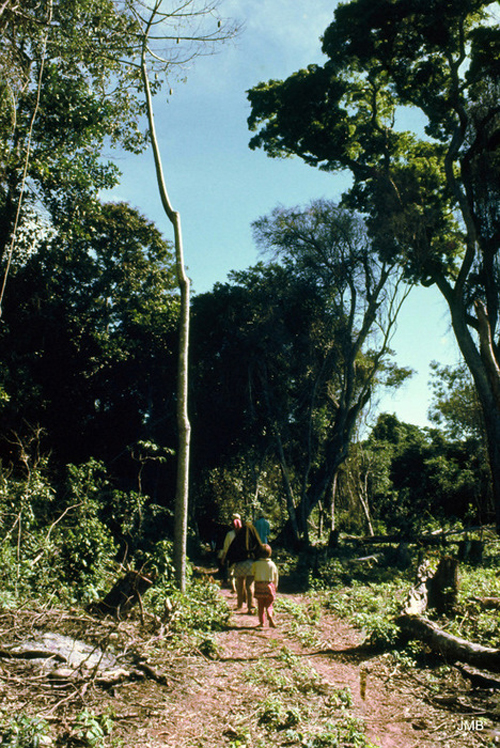 AÑO 1975 - COLOR - VIDA CAMPESINA EN PARAGUAY (JOSÉ MARÍA BLANCH)
